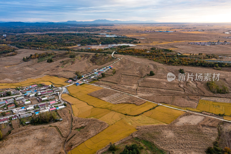 东北平原树林与农田