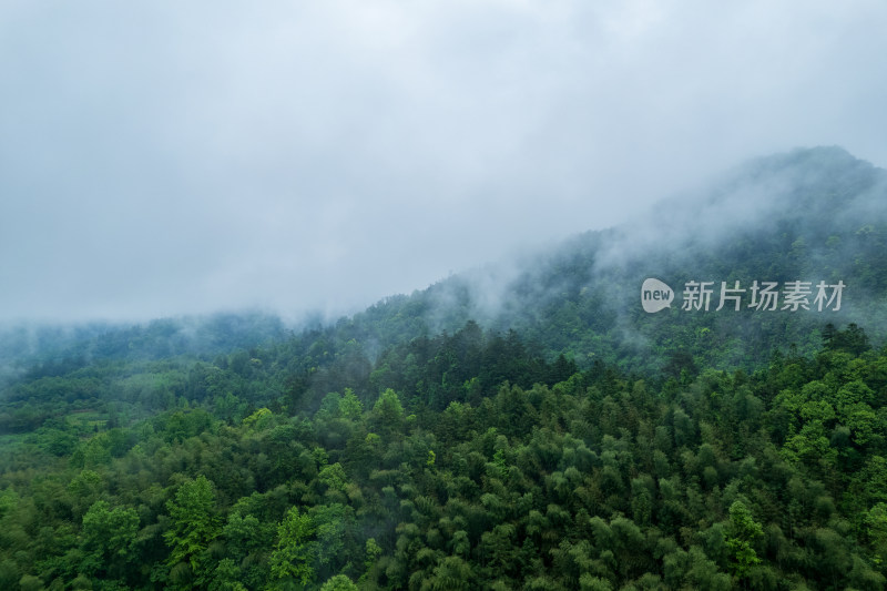 山林云雾缭绕全景