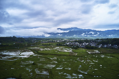 晨雾下的乡村风光