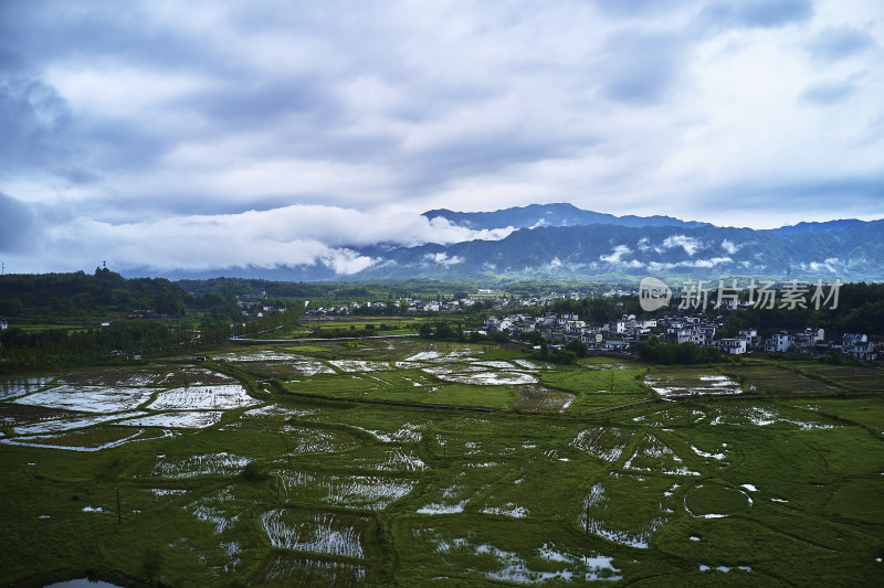 晨雾下的乡村风光