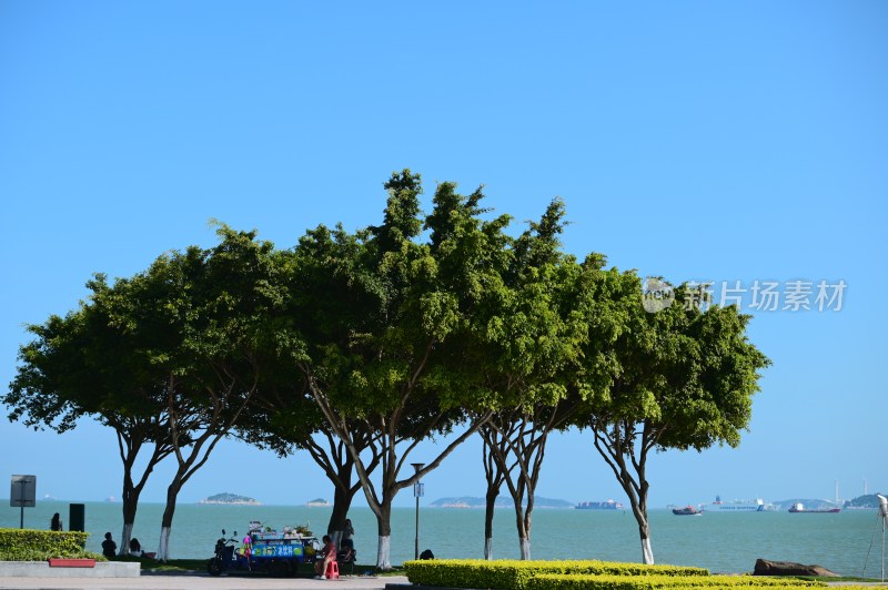 厦门环岛路沿线风景