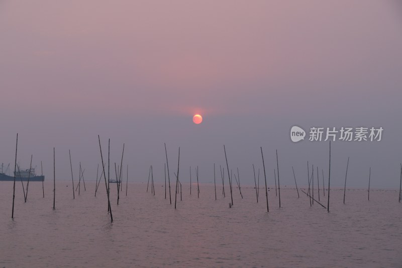 滩涂日出