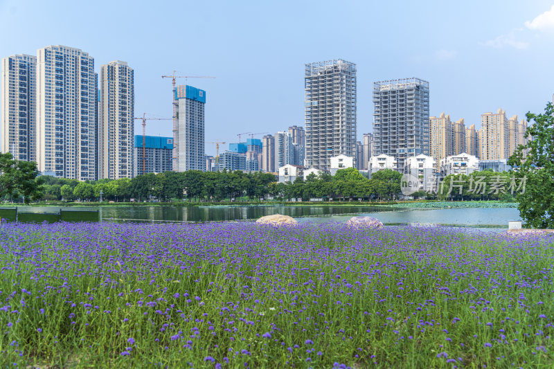 武汉汉阳墨水湖公园湿地公园