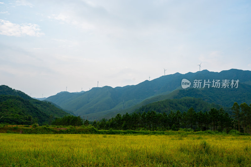 高山田野景观