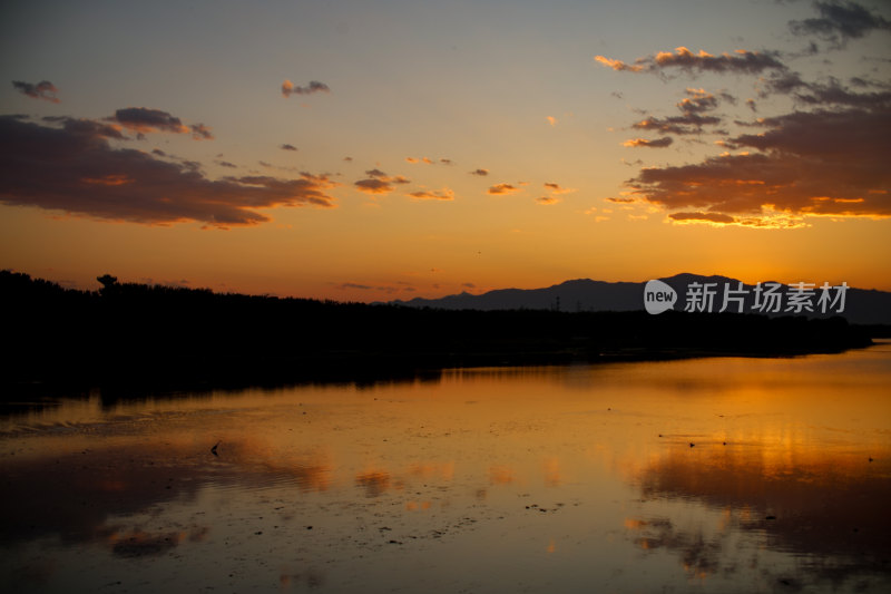 夕阳下水面上的鸟群晚霞