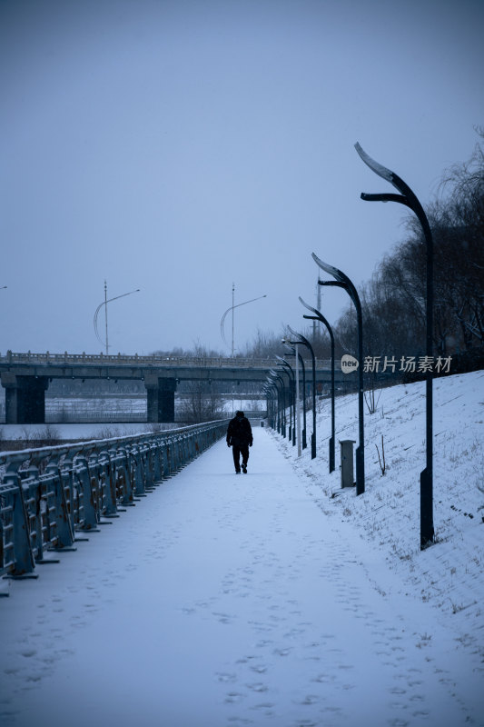 下雪的公园特写景观