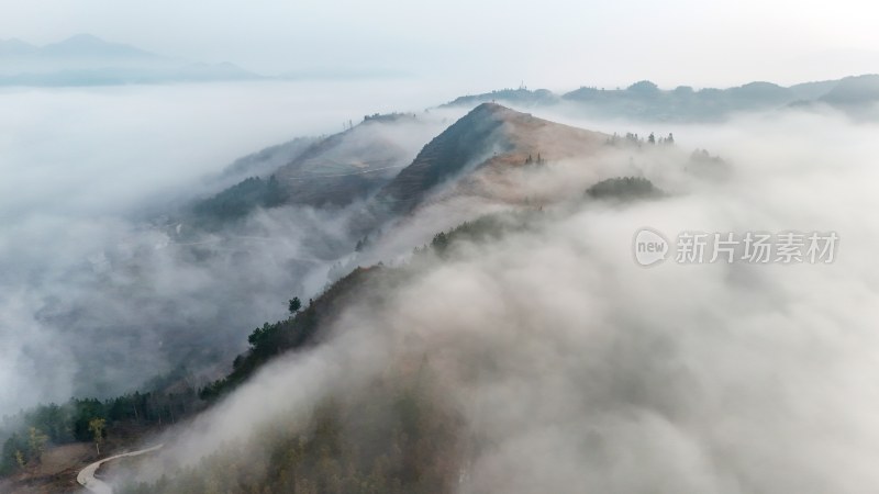 重庆酉阳：月亮村的云端仙境