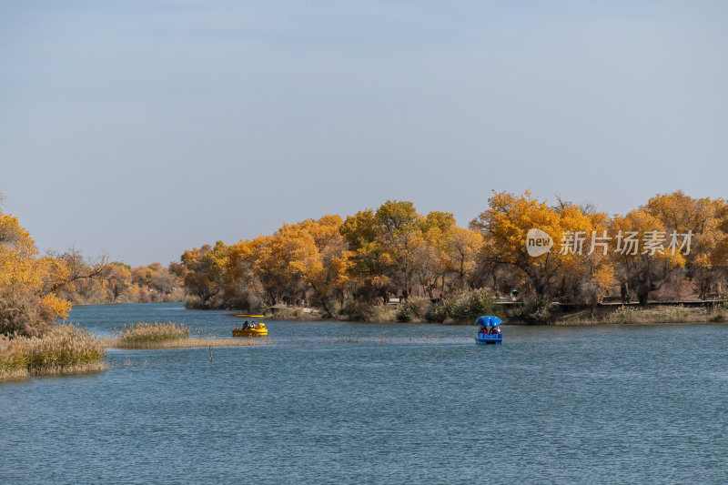 新疆南疆喀什巴楚红海胡杨林金秋尉头洲美景