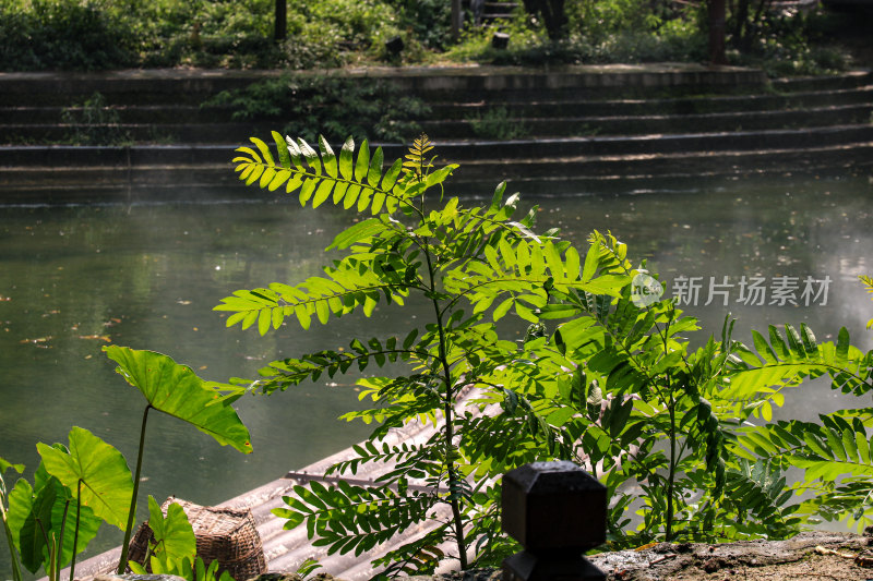 宜昌车溪民俗旅游区国家级土家族特色景区