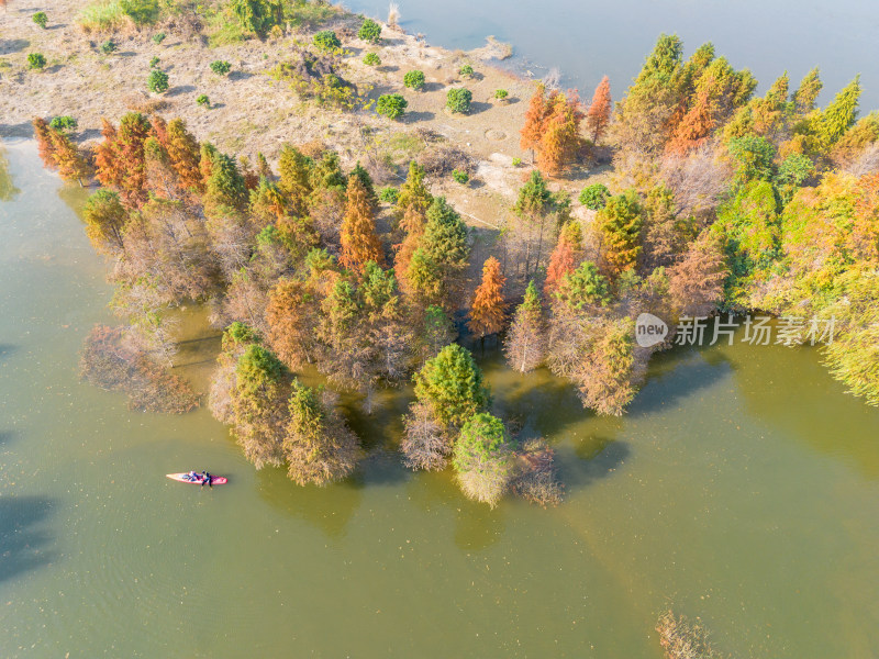 福州多彩树林沿水域分布的自然风景航拍