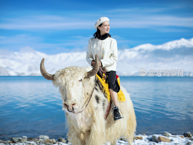 雪山湖泊蓝天白云美女坐在牦牛上
