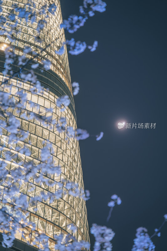 上海摩天大楼、月亮和樱花夜景