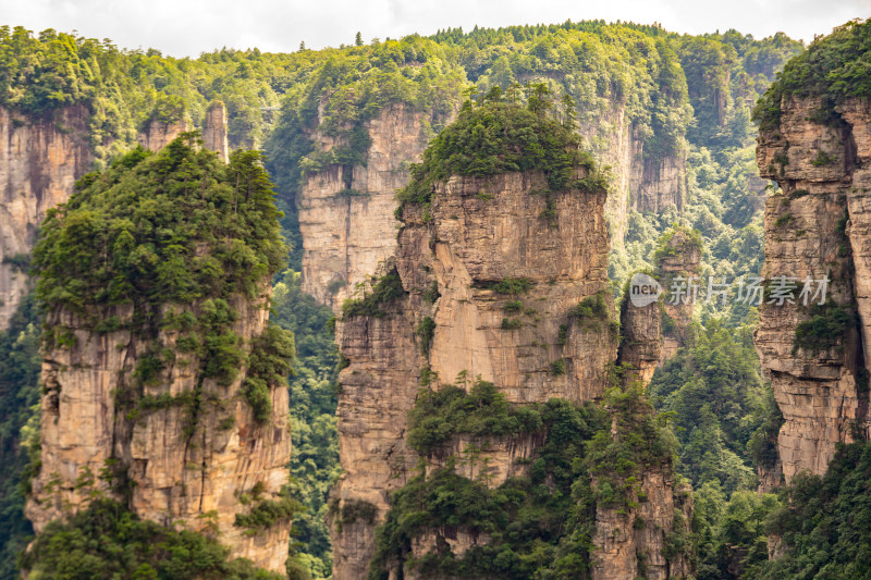 中国湖南张家界景区奇特山峰与茂密森林