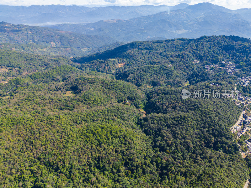 航拍被森林环绕的景迈山村庄全景