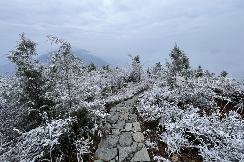 冬季唯美森林雪景