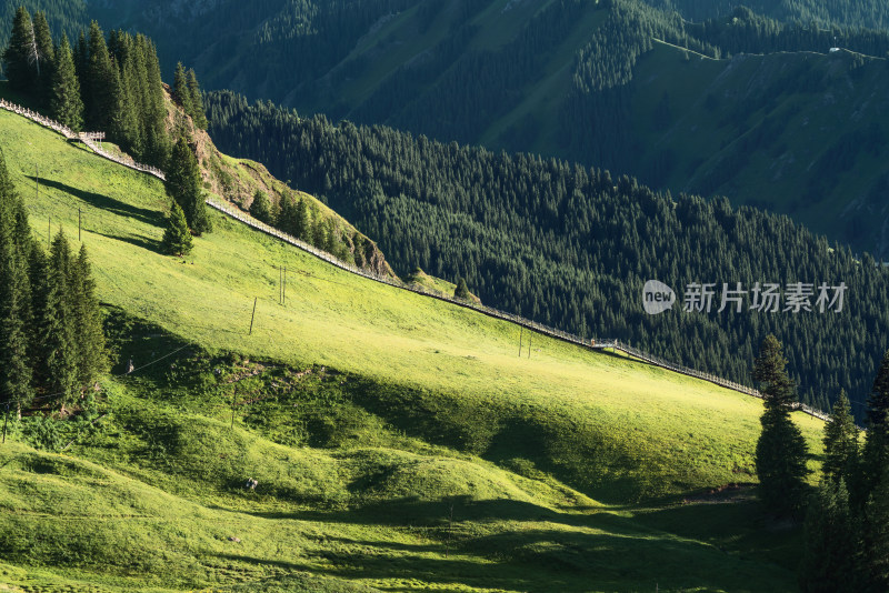中国新疆伊犁果子沟自然风景