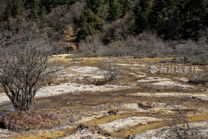 四川阿坝黄龙景区秋日山林静谧溪流