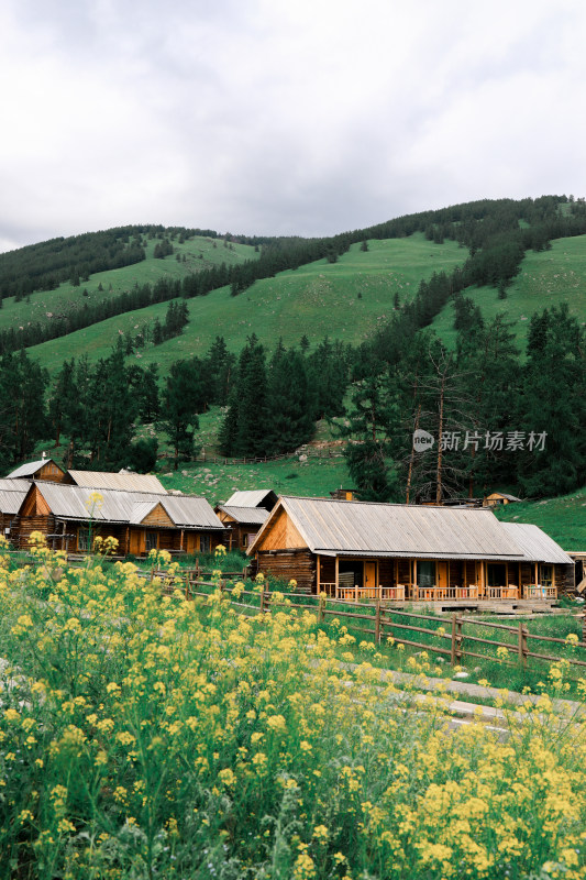 阿勒泰地区喀纳斯木屋