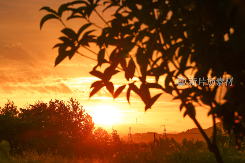 逆光下夕阳的剪影