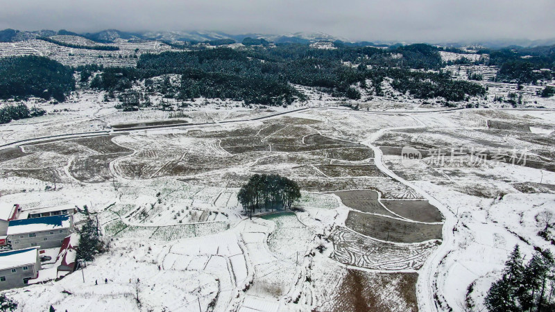 航拍南方乡村田园农田梯田雪景