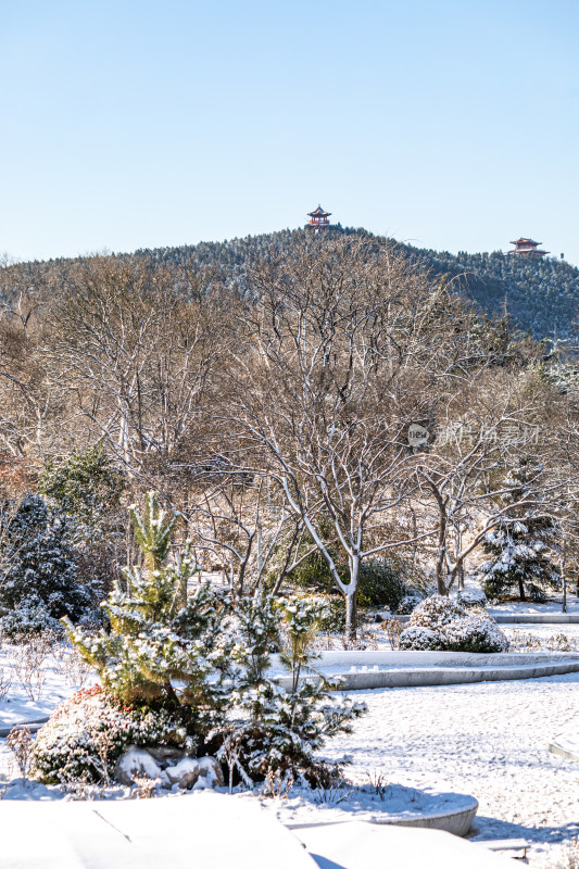 济南泉城公园自然景观雪景