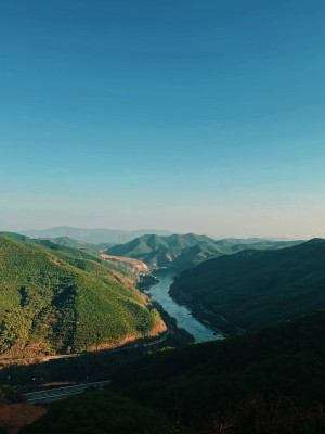 沿路的风景