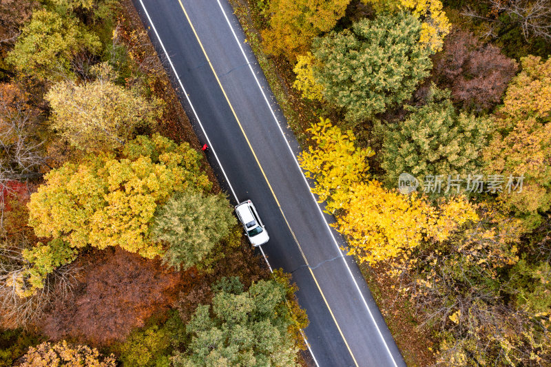 秋季森林与道路