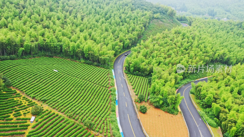 湖州莫干山彩虹公路