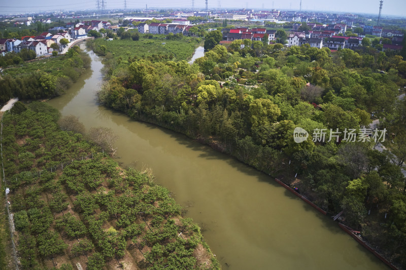 五彩斑斓的花海公园