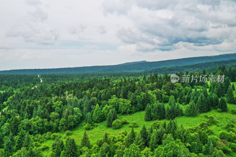 长白山高山花园风光