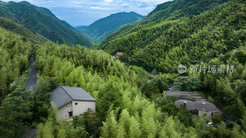 航拍浙北大峡谷山间竹林风光