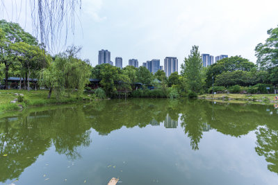 武汉汉阳月湖风景区风光