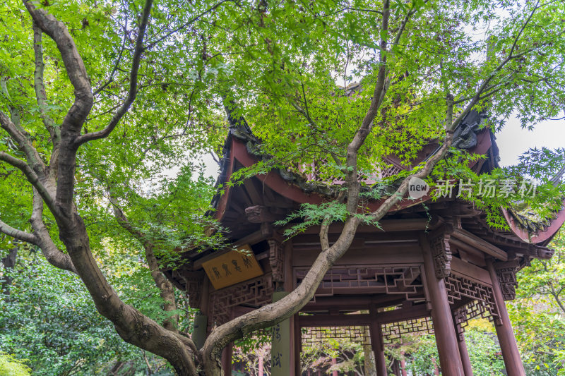 杭州宝石山连横纪念馆玛瑙寺旧址