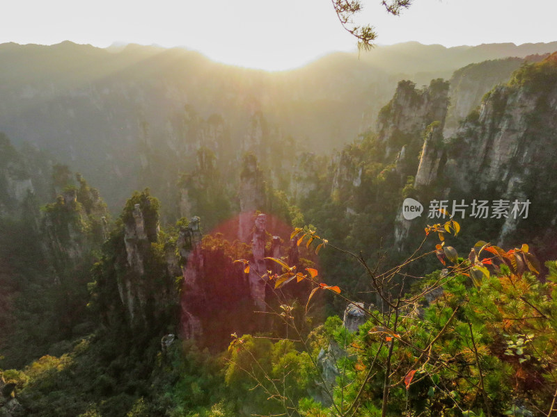 中国湖南张家界国家森林公园旅游风光