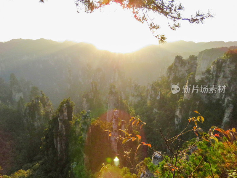 中国湖南张家界国家森林公园旅游风光