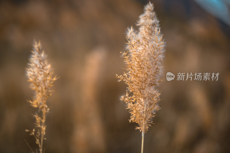 骑行初冬那年