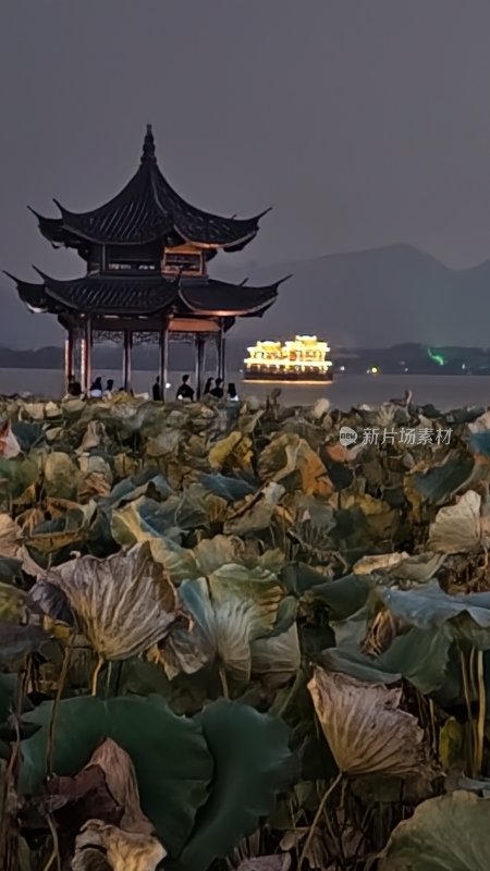 中式亭台与荷塘夜景的交融之景