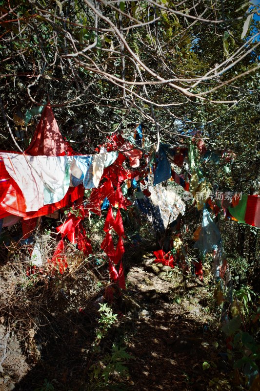 云南大理鸡足山景区山林中的彩色经幡