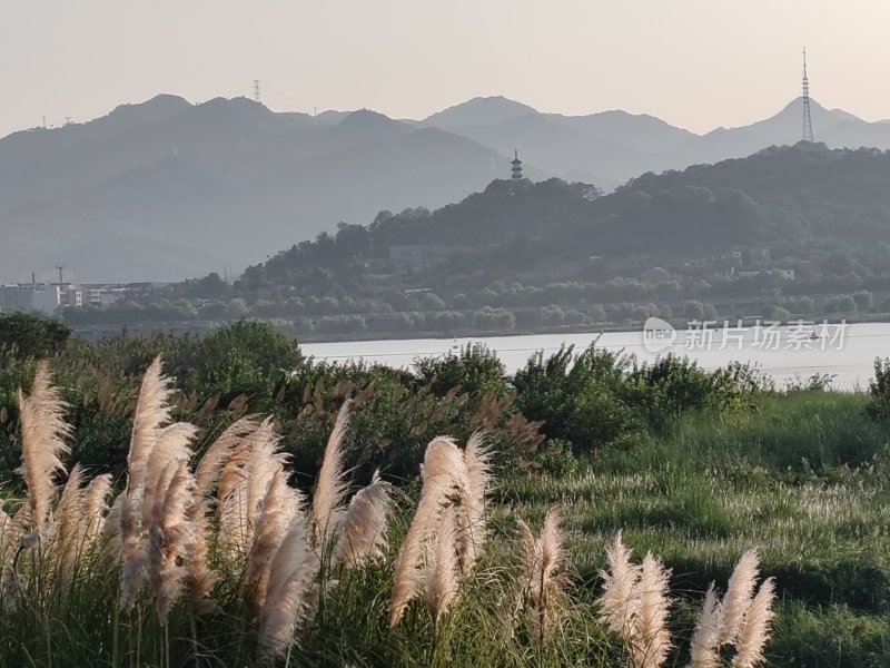 山水之间的自然风光与芦苇荡美景