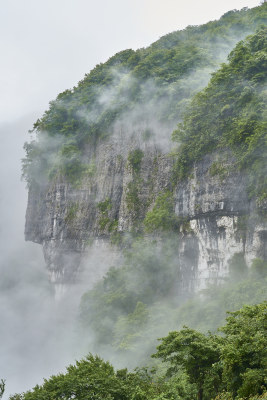 重庆金佛山美景