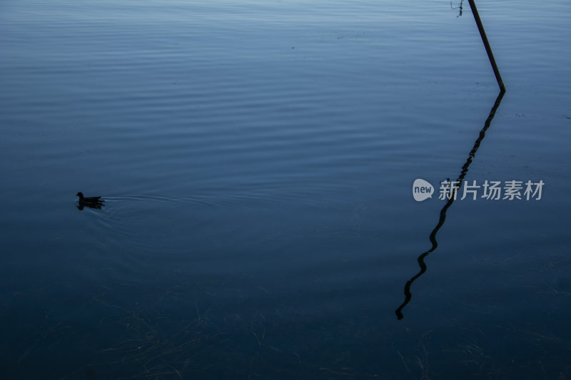 云南大理洱海风景晴天蓝色湖面