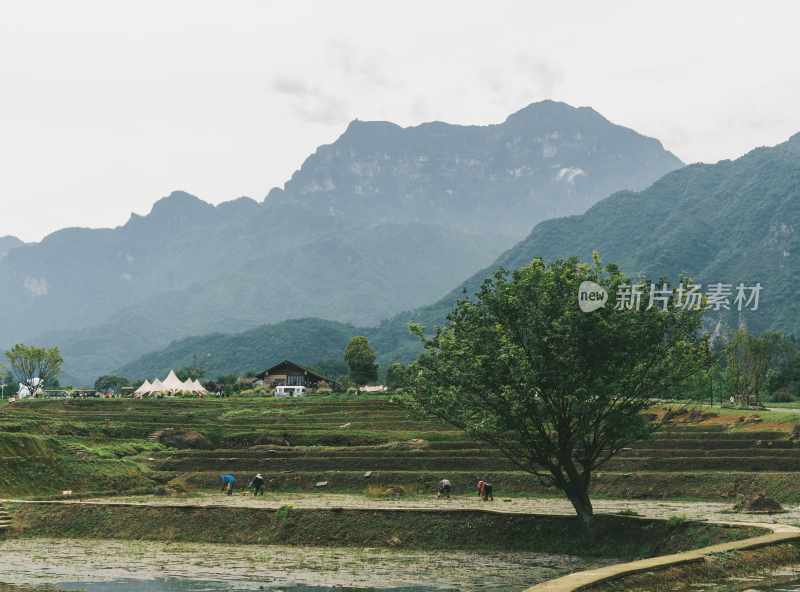 峨眉山田野劳作野趣