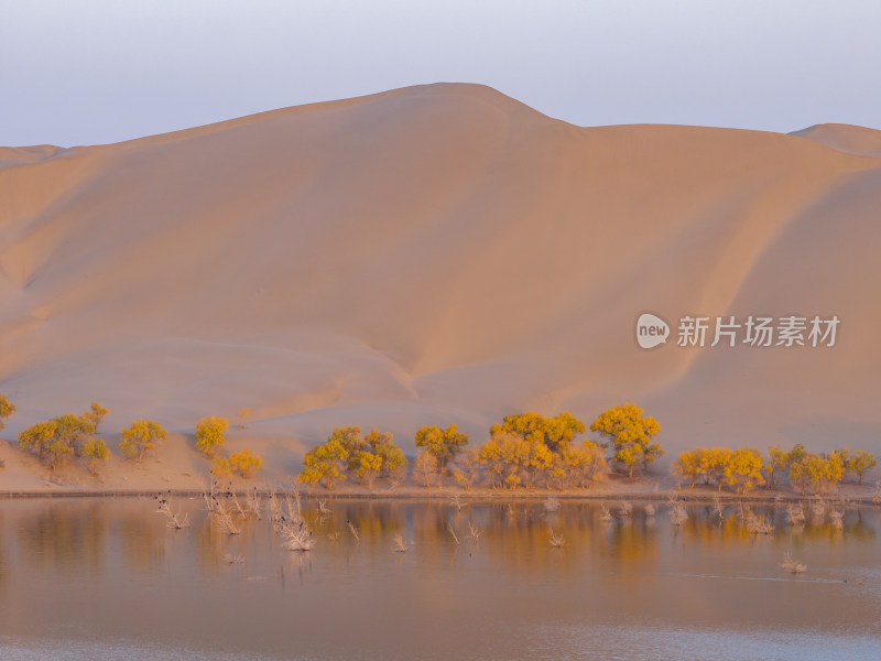 新疆巴州罗布湖塔塔秘境沙漠水上胡杨林航拍