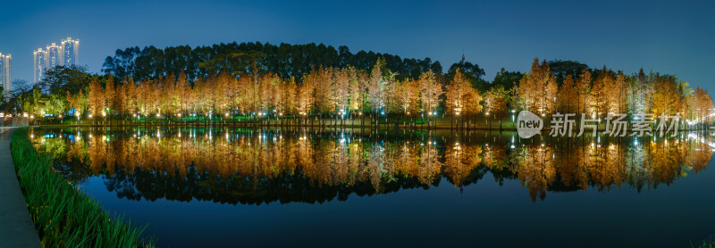 佛山千灯湖南海活水公园落羽杉红叶夜景全景