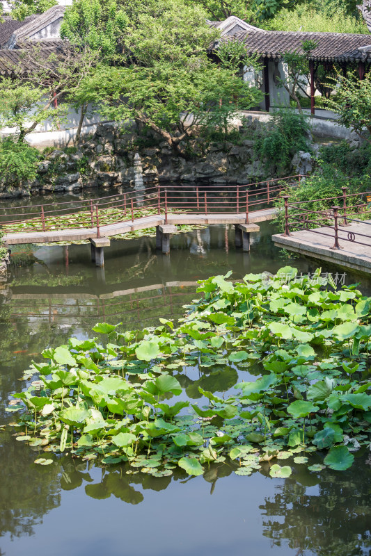 苏州怡园初夏风光