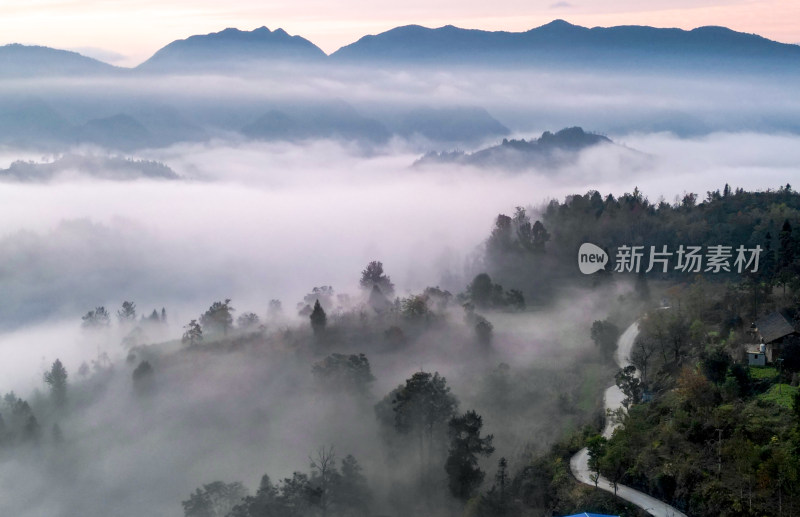 重庆酉阳：大龙村的枫叶红了