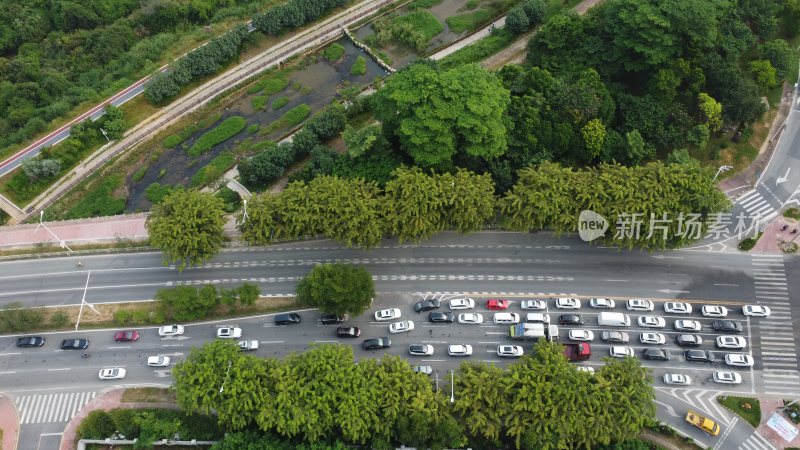 广东东莞：道路早高峰