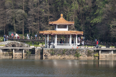 深圳仙湖植物园