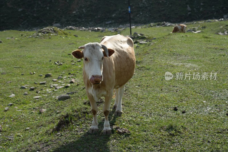 五台山南台风光