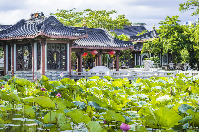 惠州丰渚园荷花池边的中式园林建筑